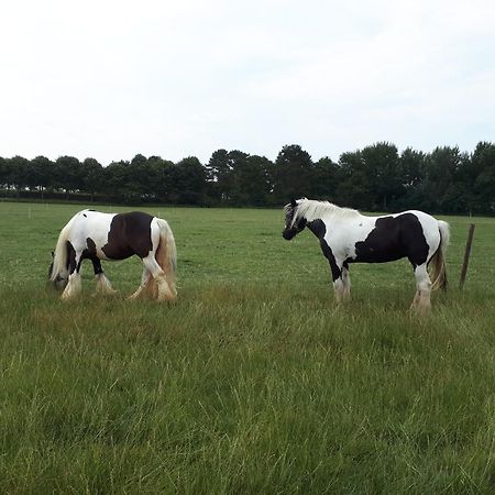 Chalets Op Minicamping Dorpszicht Gapinge Bagian luar foto