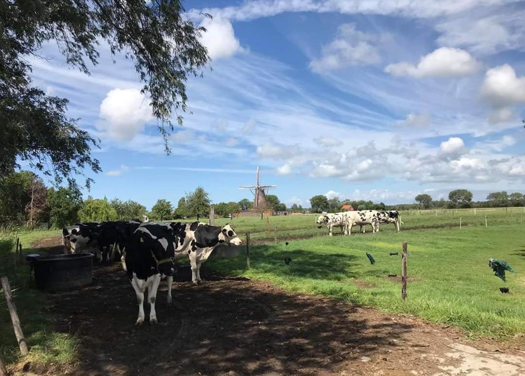Chalets Op Minicamping Dorpszicht Gapinge Bagian luar foto