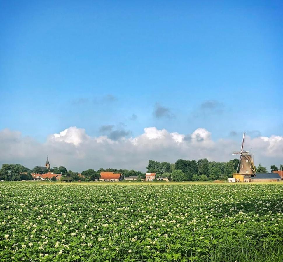 Chalets Op Minicamping Dorpszicht Gapinge Bagian luar foto